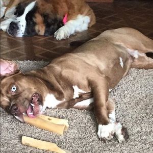 Meet your Posher, Josh